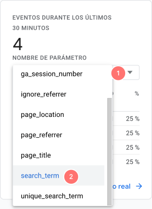 search term parameter